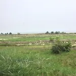 Vadehavet 2*